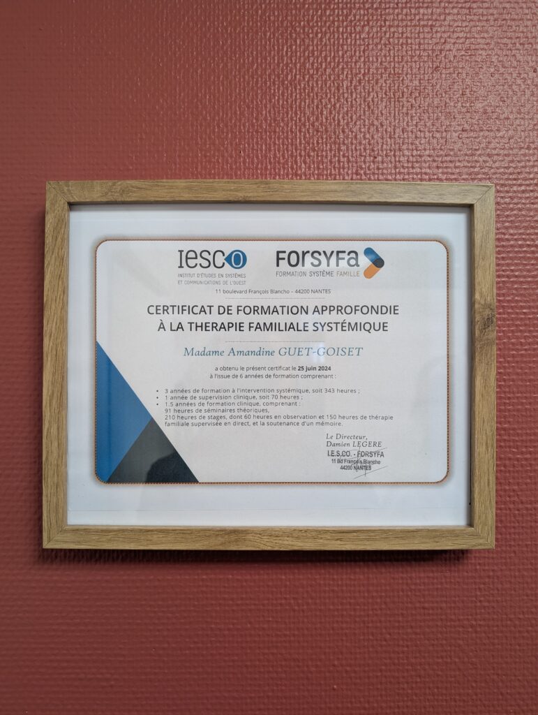 Diplôme thérapie familiale systémique FORSYFA